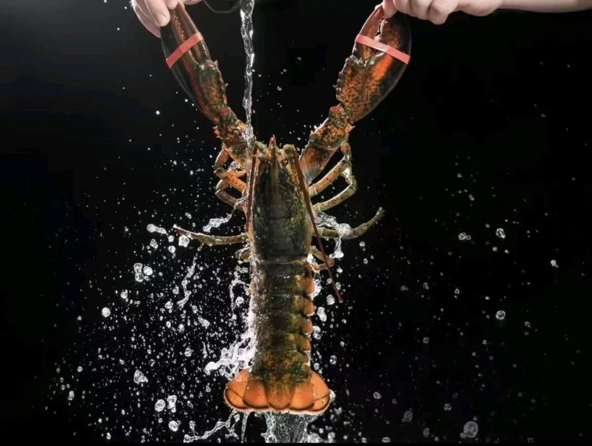 肇庆海鲜